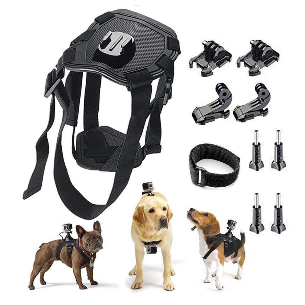 Dog Harness with Camera Attachment (camera not included)