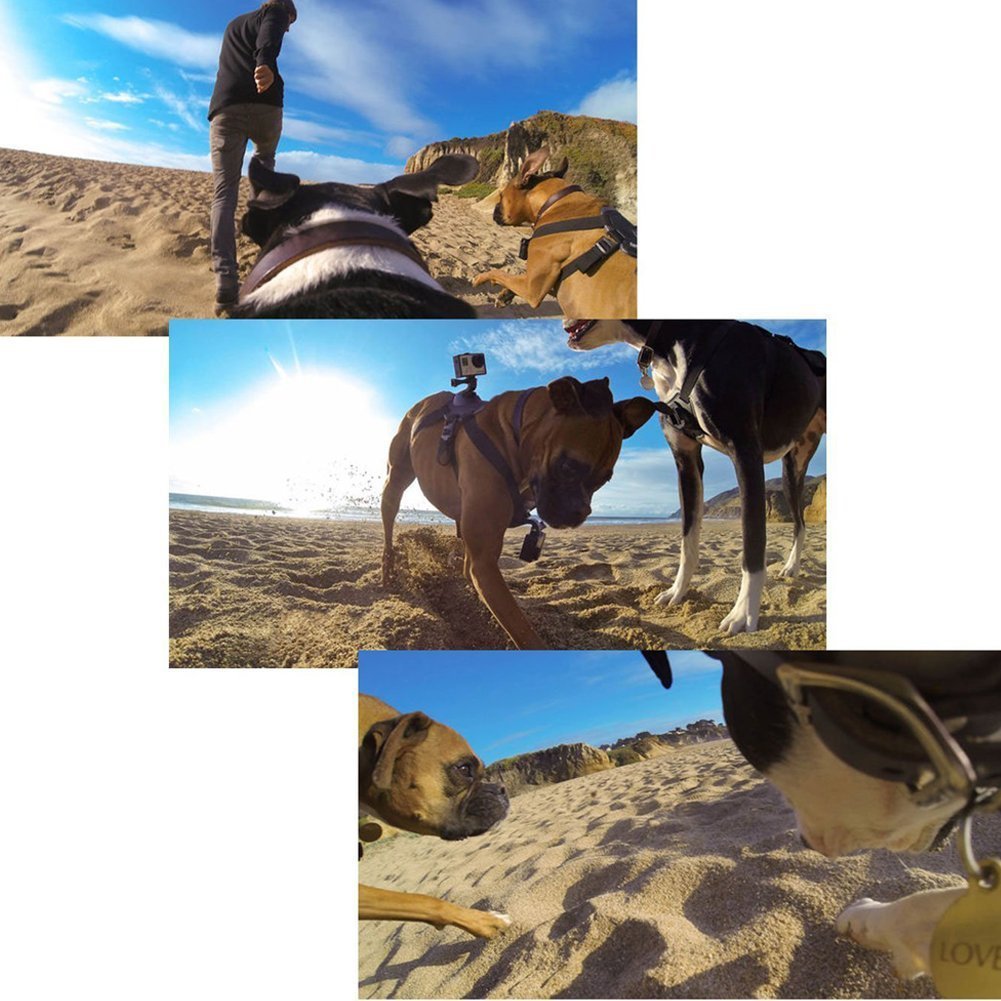Dog Harness with Camera Attachment (camera not included)