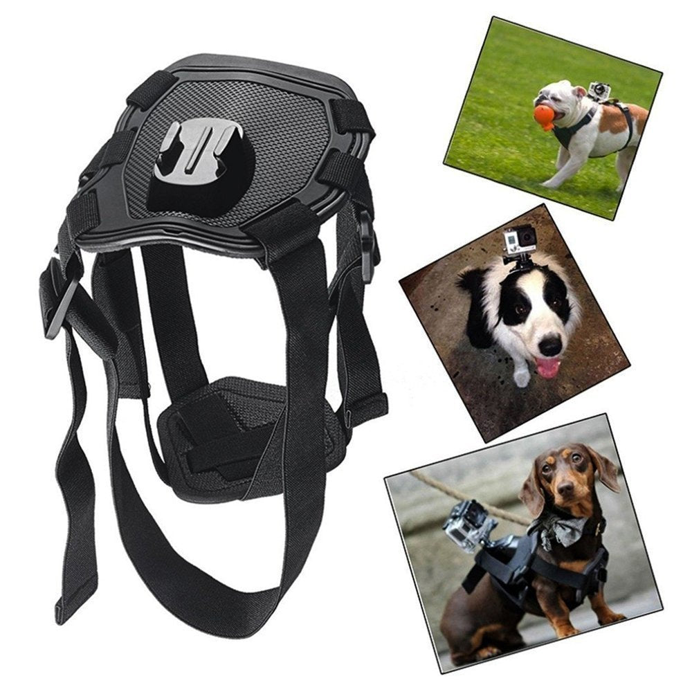 Dog Harness with Camera Attachment (camera not included)