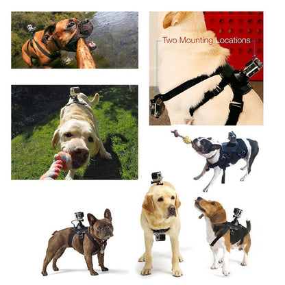 Dog Harness with Camera Attachment (camera not included)