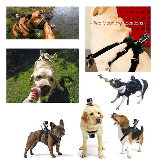 Dog Harness with Camera Attachment (camera not included)