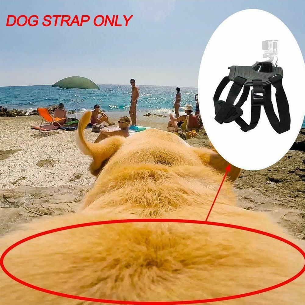 Dog Harness with Camera Attachment (camera not included)